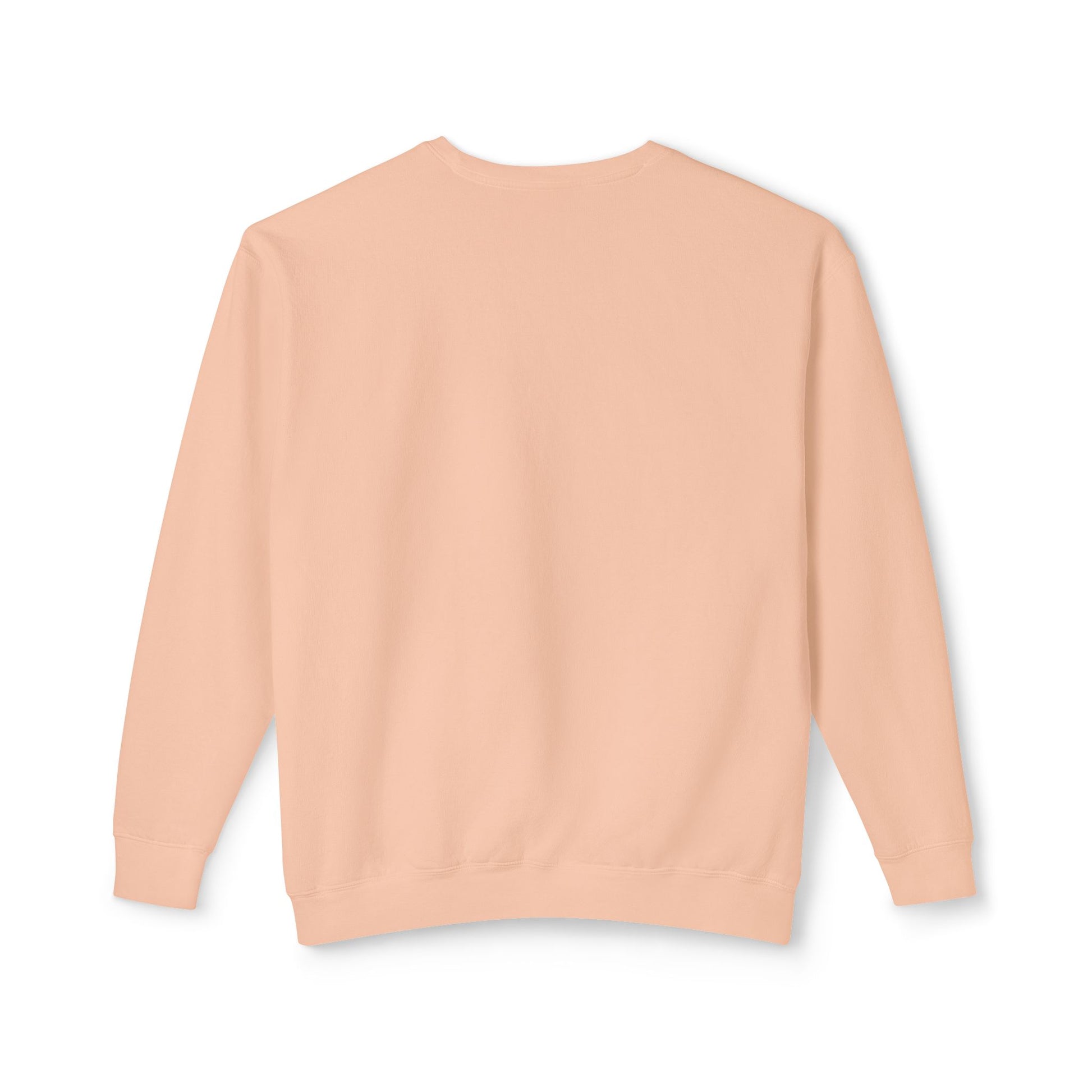 DCAZ Lightweight Sweatshirt - Ivy Society